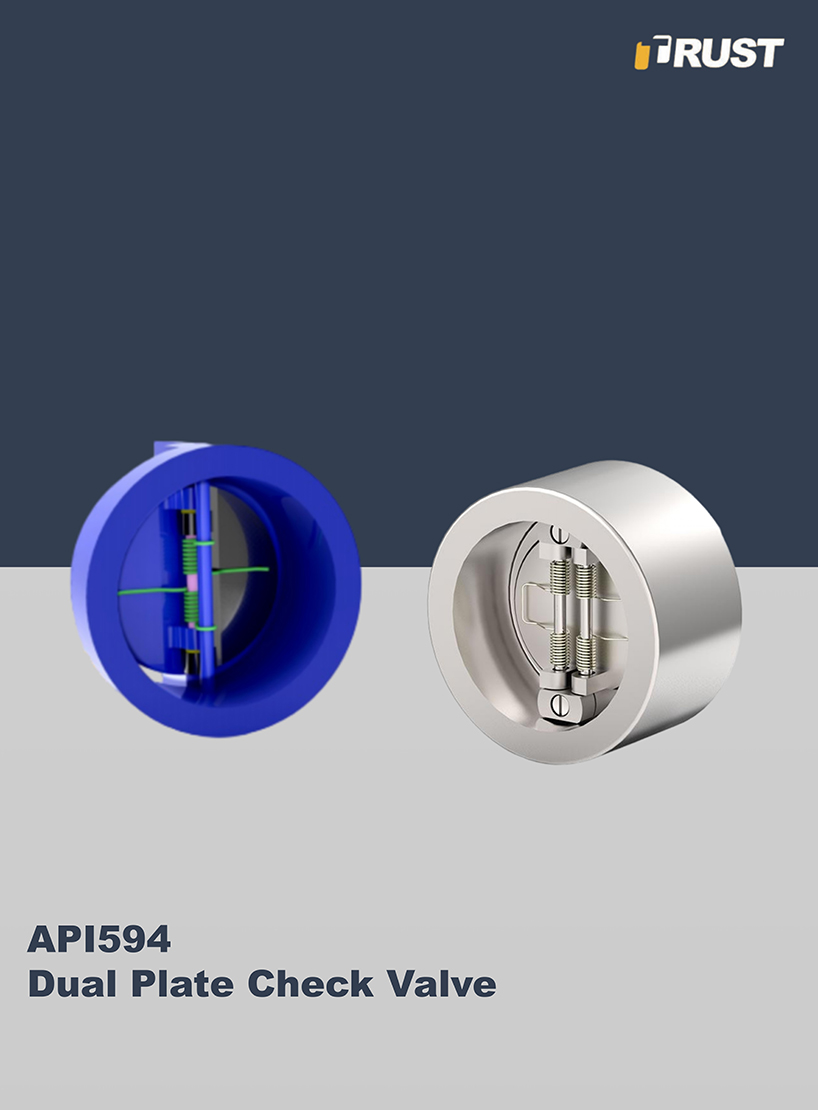 Válvula de retenção de placa dupla